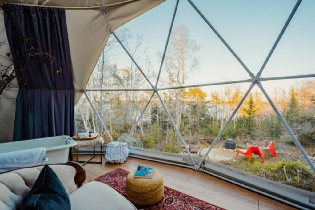 Forest Shore Dome