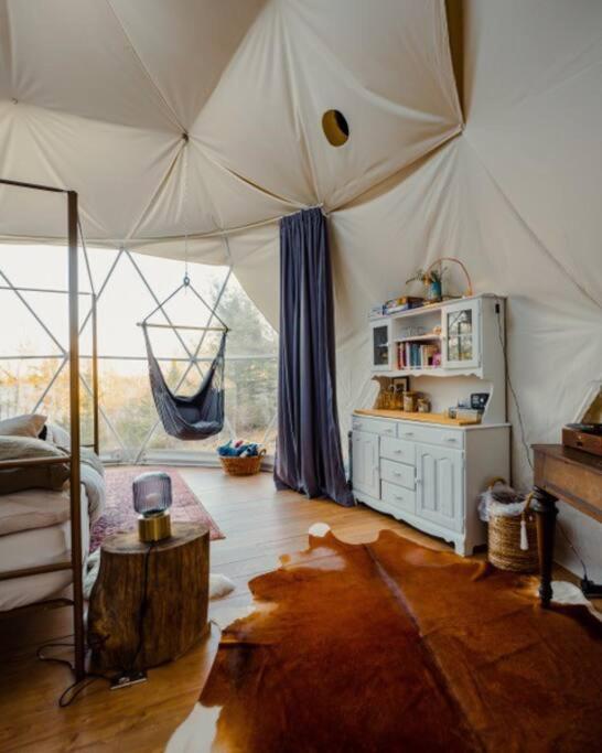 Forest Shore Dome