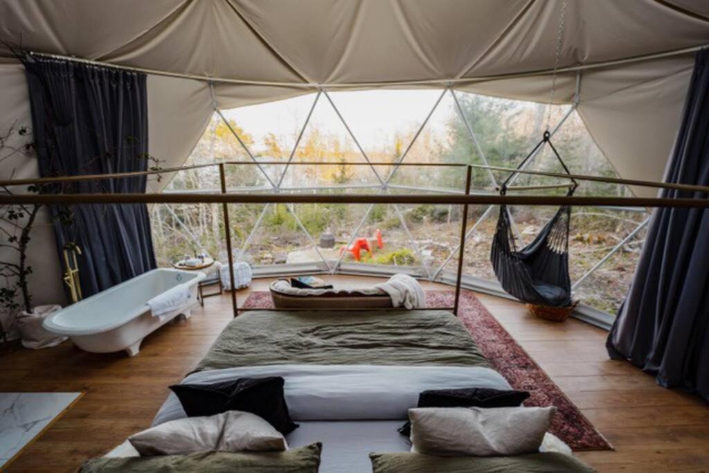 Forest Shore Dome