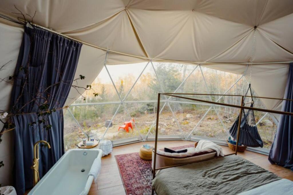 Forest Shore Dome
