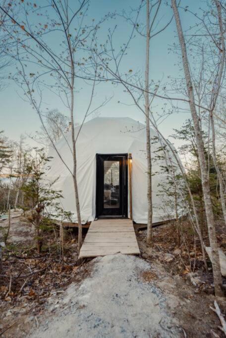 Forest Shore Dome