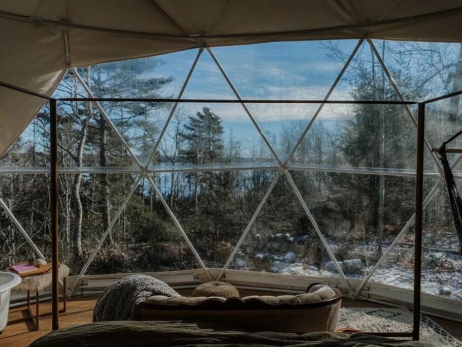 Forest Shore Dome