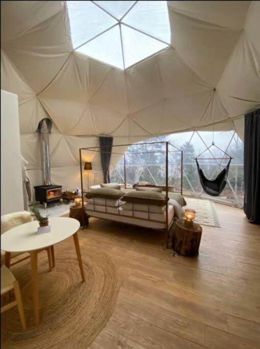 Forest Shore Dome