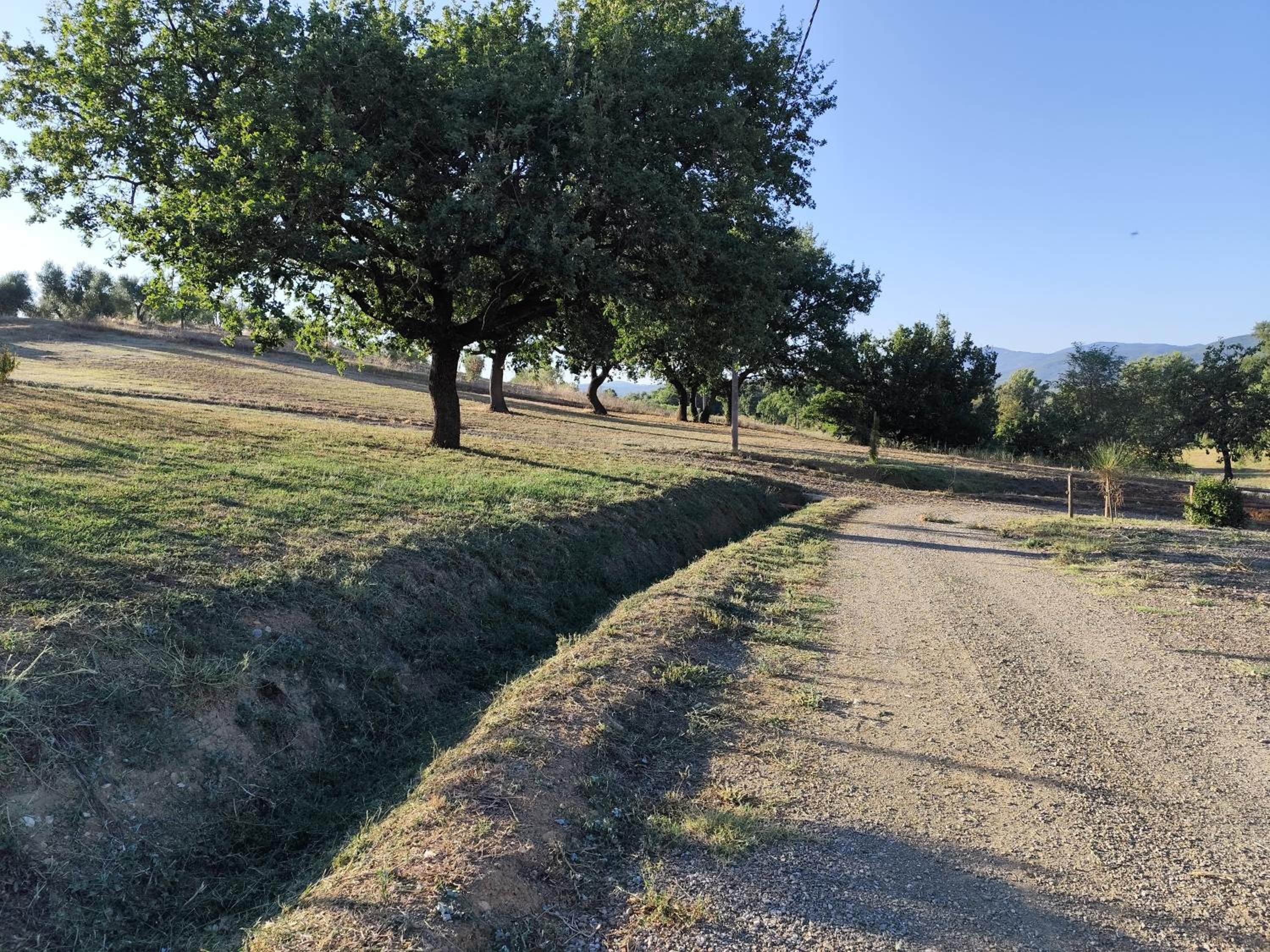Agriturismo Campo alla Cantina appartamento Sulla