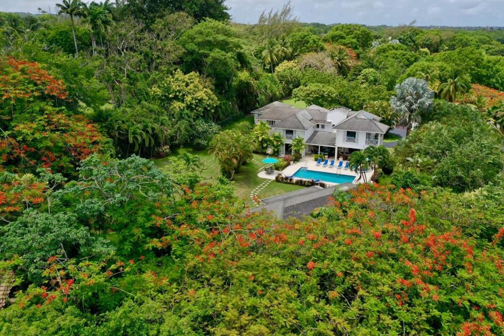 Luxury Villa With a Stunning Private Swimming Pool