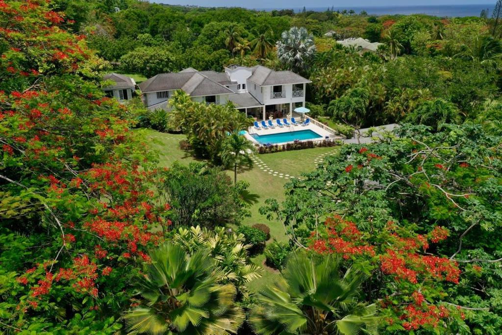 Luxury Villa With a Stunning Private Swimming Pool