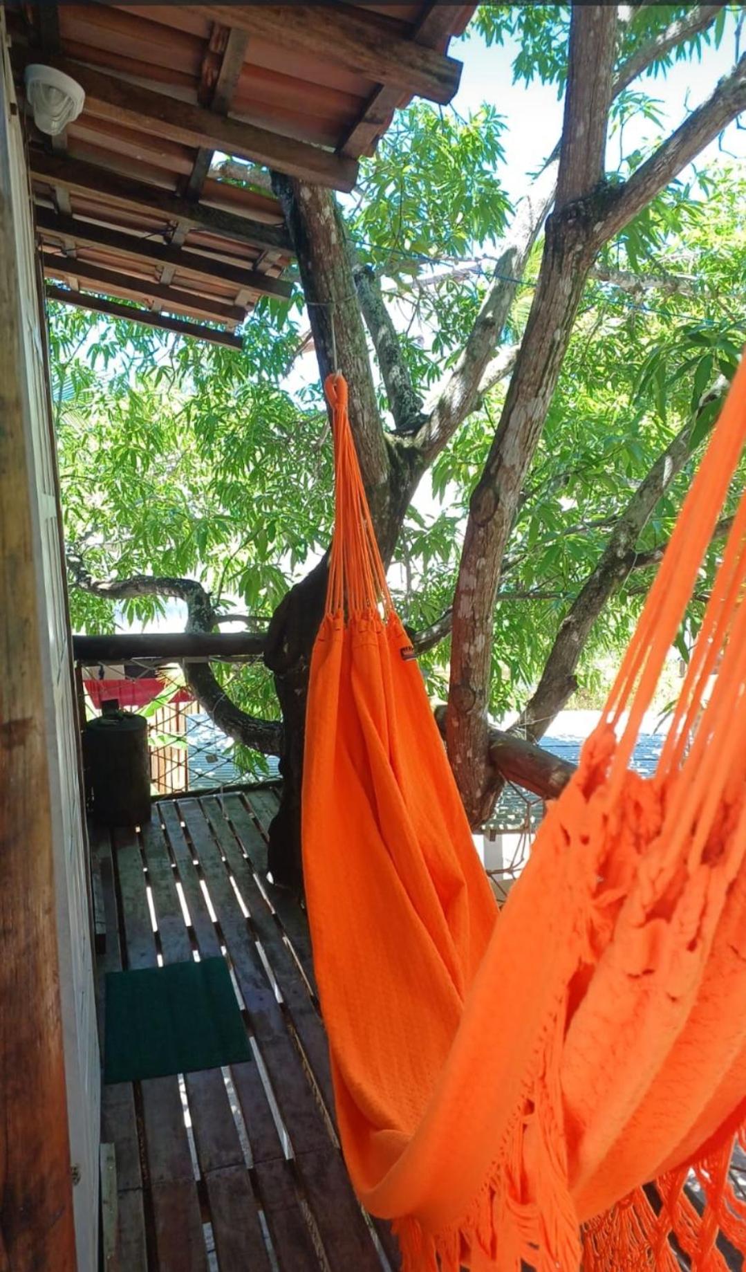 Loft Terra Casa na Árvore