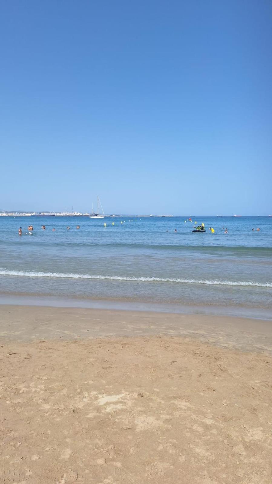 APARTBEACH SIMBIOSIS y ACTIVIDADES ECUESTRES