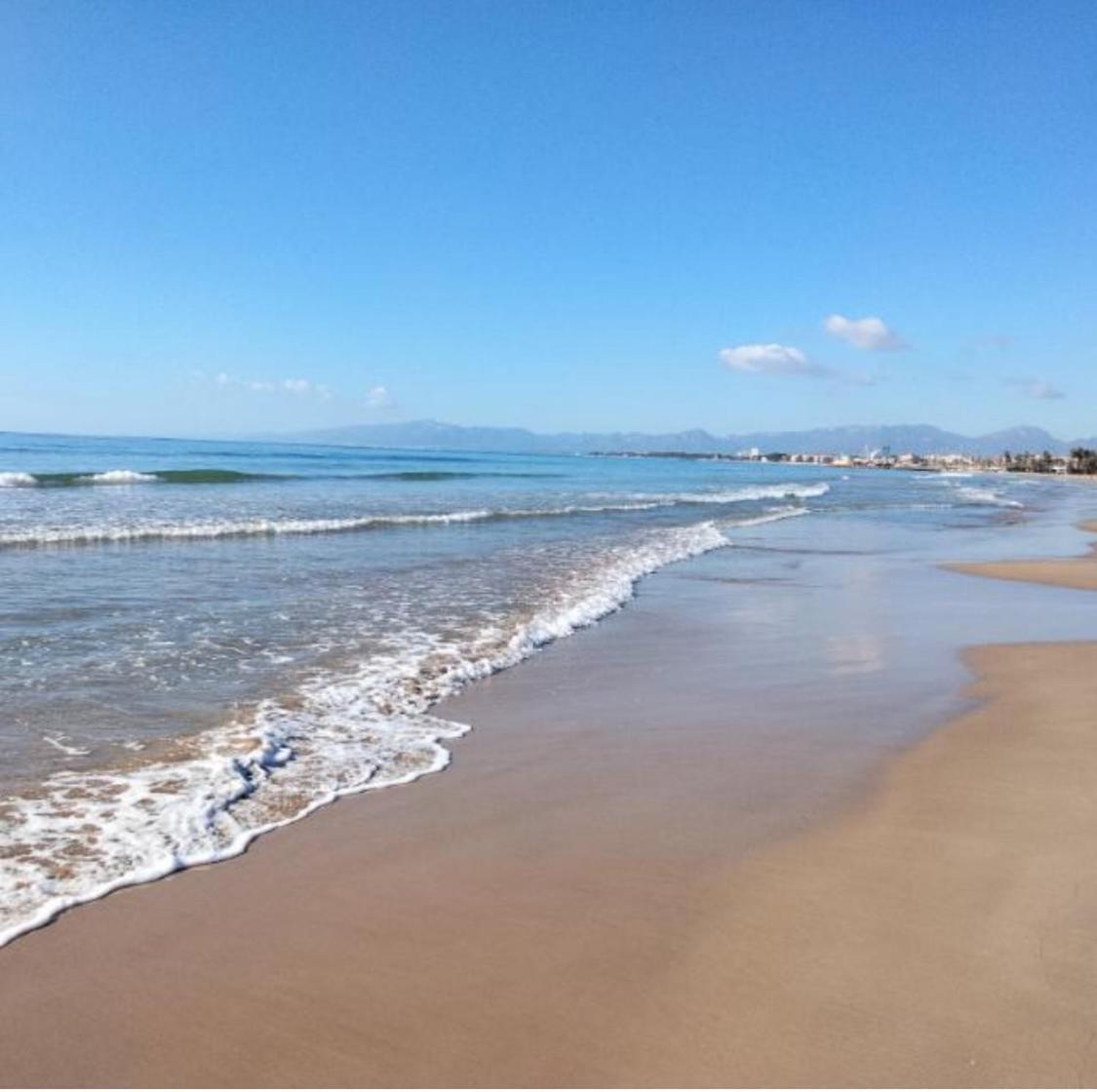 APARTBEACH SIMBIOSIS y ACTIVIDADES ECUESTRES