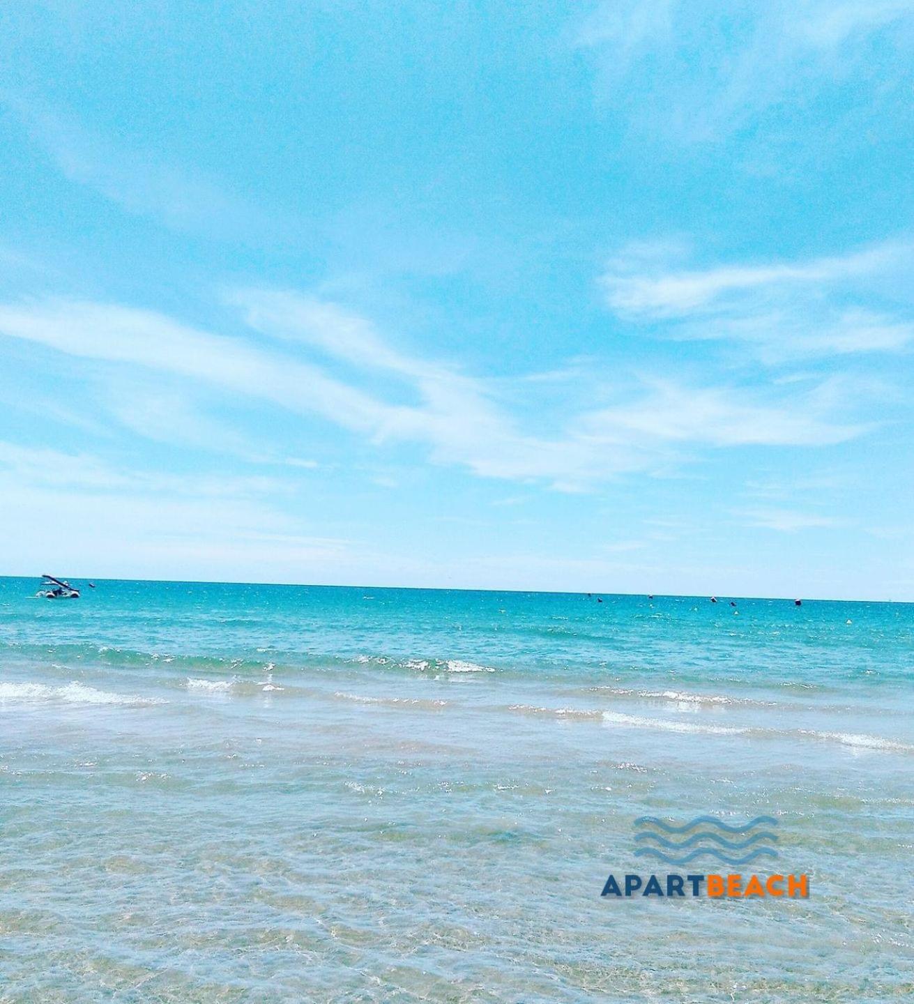 APARTBEACH SIMBIOSIS y ACTIVIDADES ECUESTRES