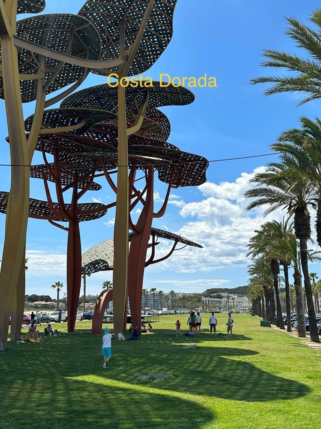 APARTBEACH SIMBIOSIS y ACTIVIDADES ECUESTRES