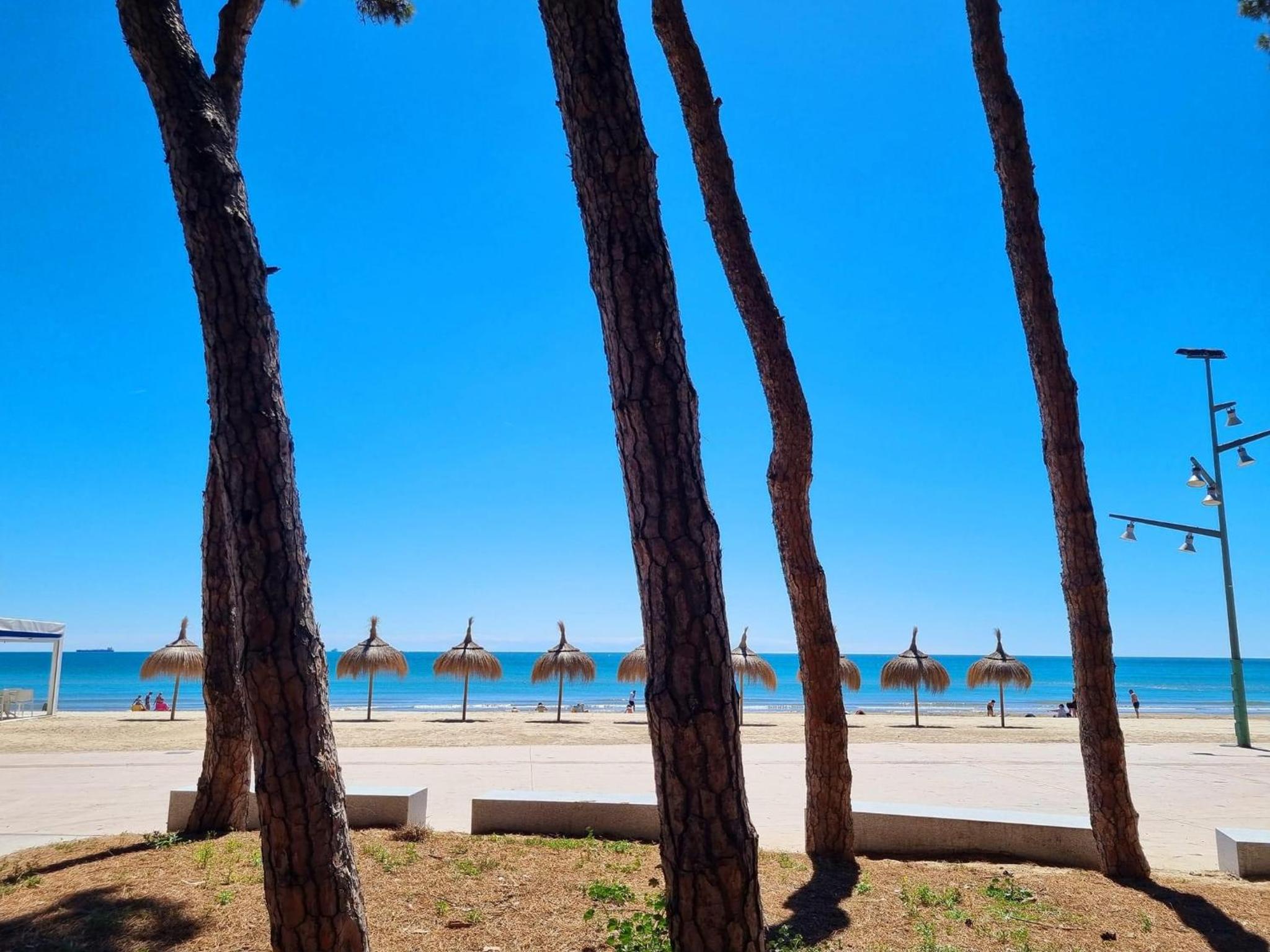 APARTBEACH SIMBIOSIS y ACTIVIDADES ECUESTRES