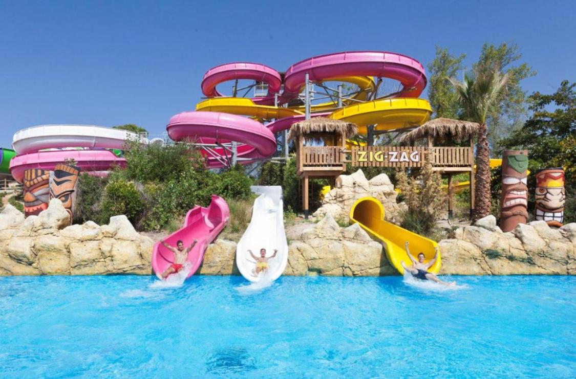 APARTBEACH SIMBIOSIS y ACTIVIDADES ECUESTRES