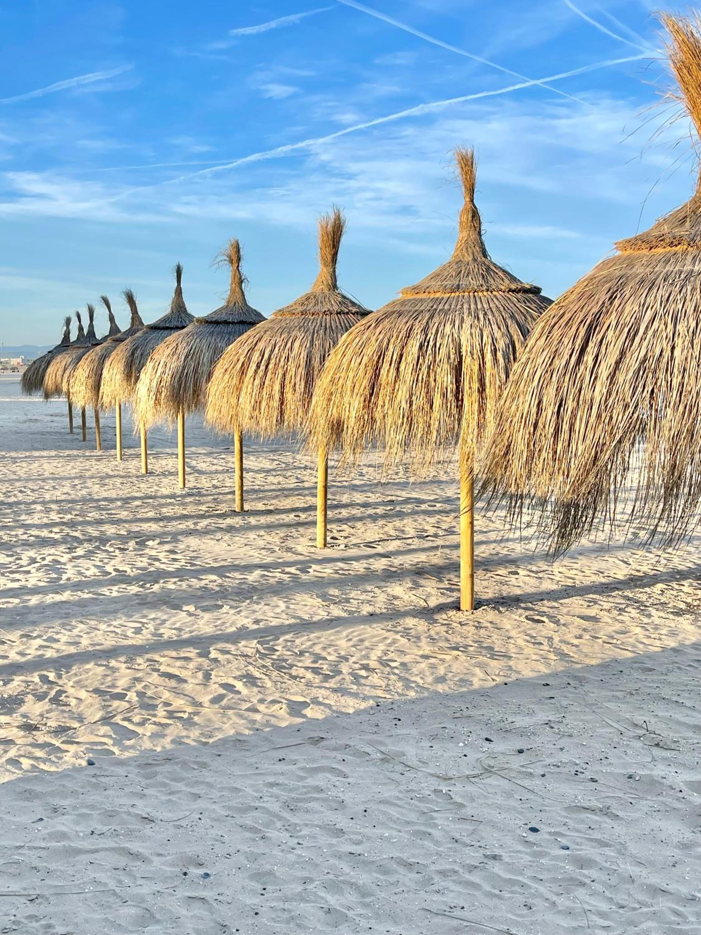 APARTBEACH SIMBIOSIS y ACTIVIDADES ECUESTRES