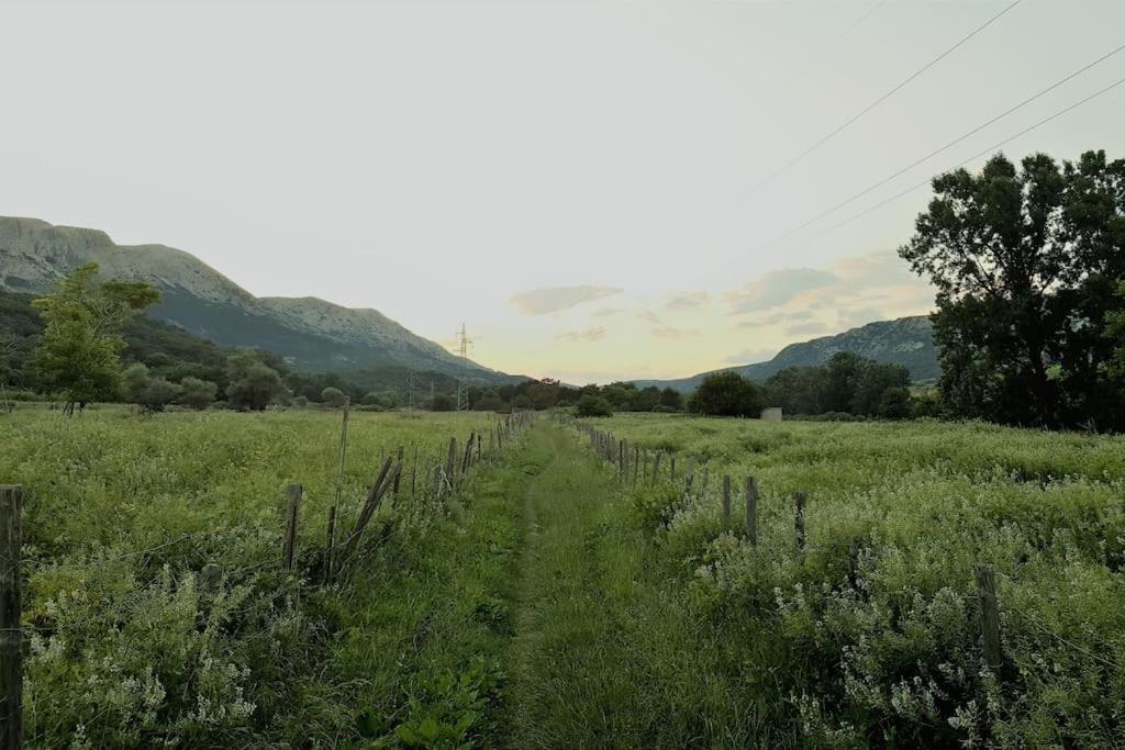 Photo 30