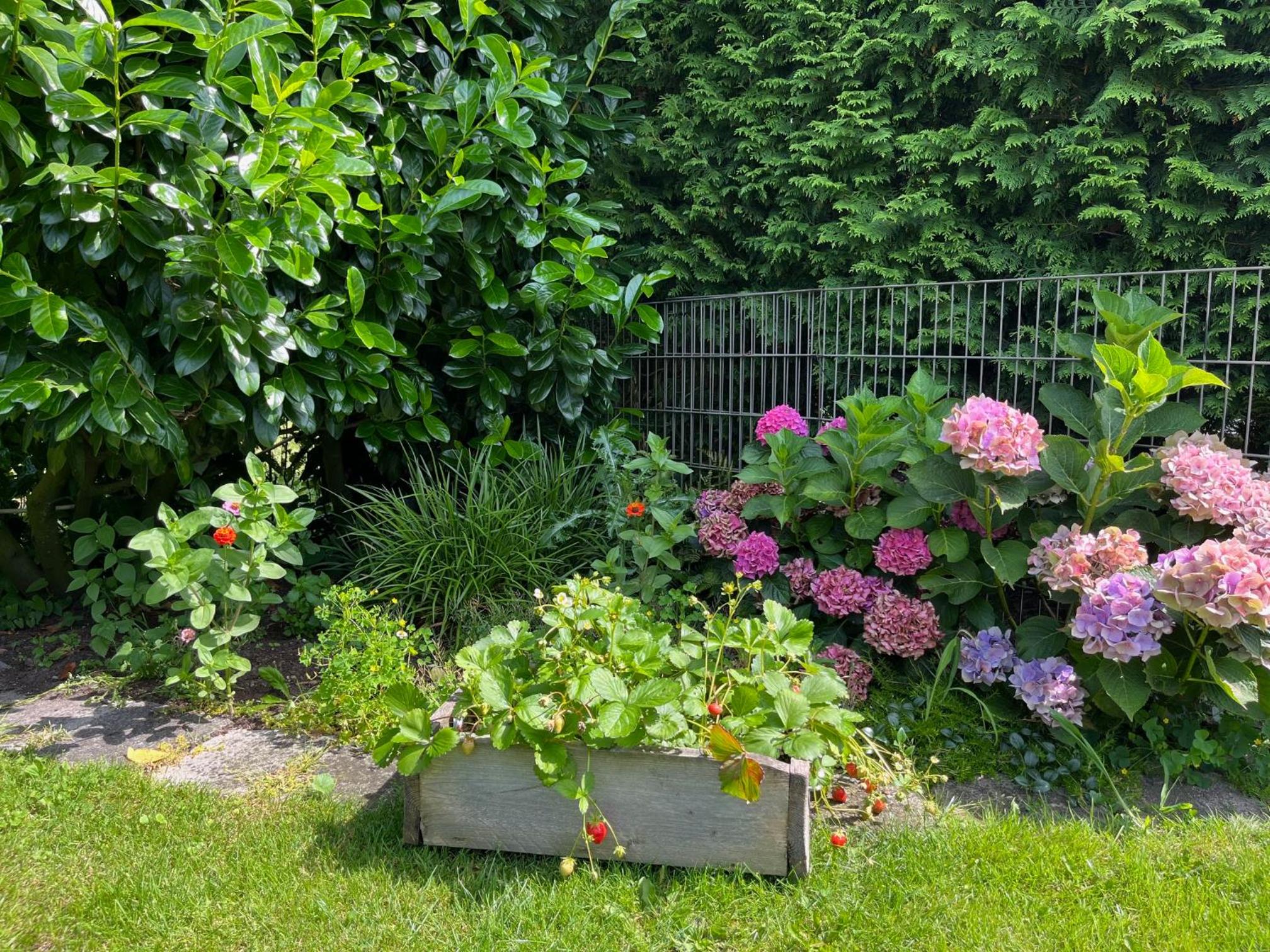 Landelijk Groen vakantiehuis