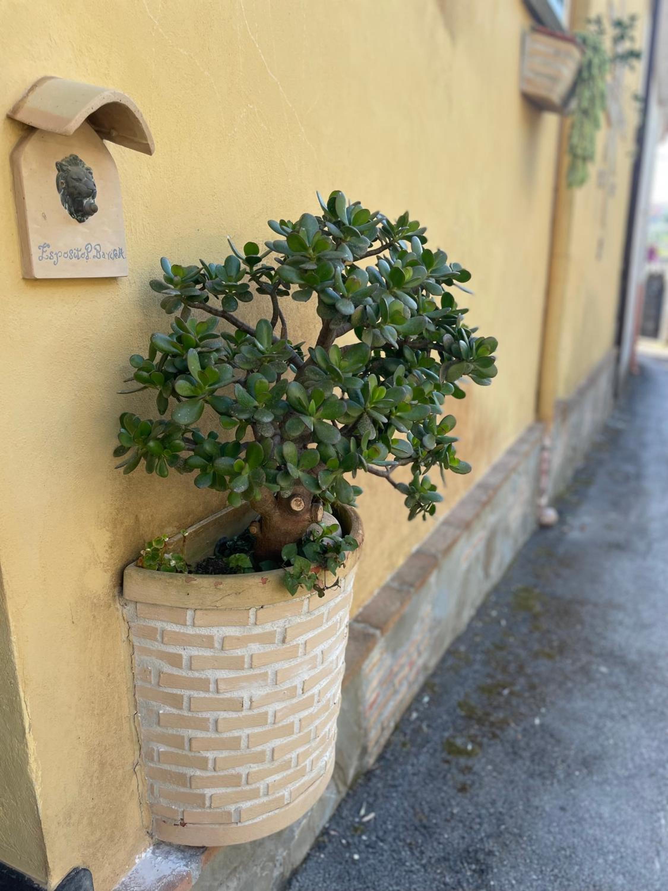 Pupatella House