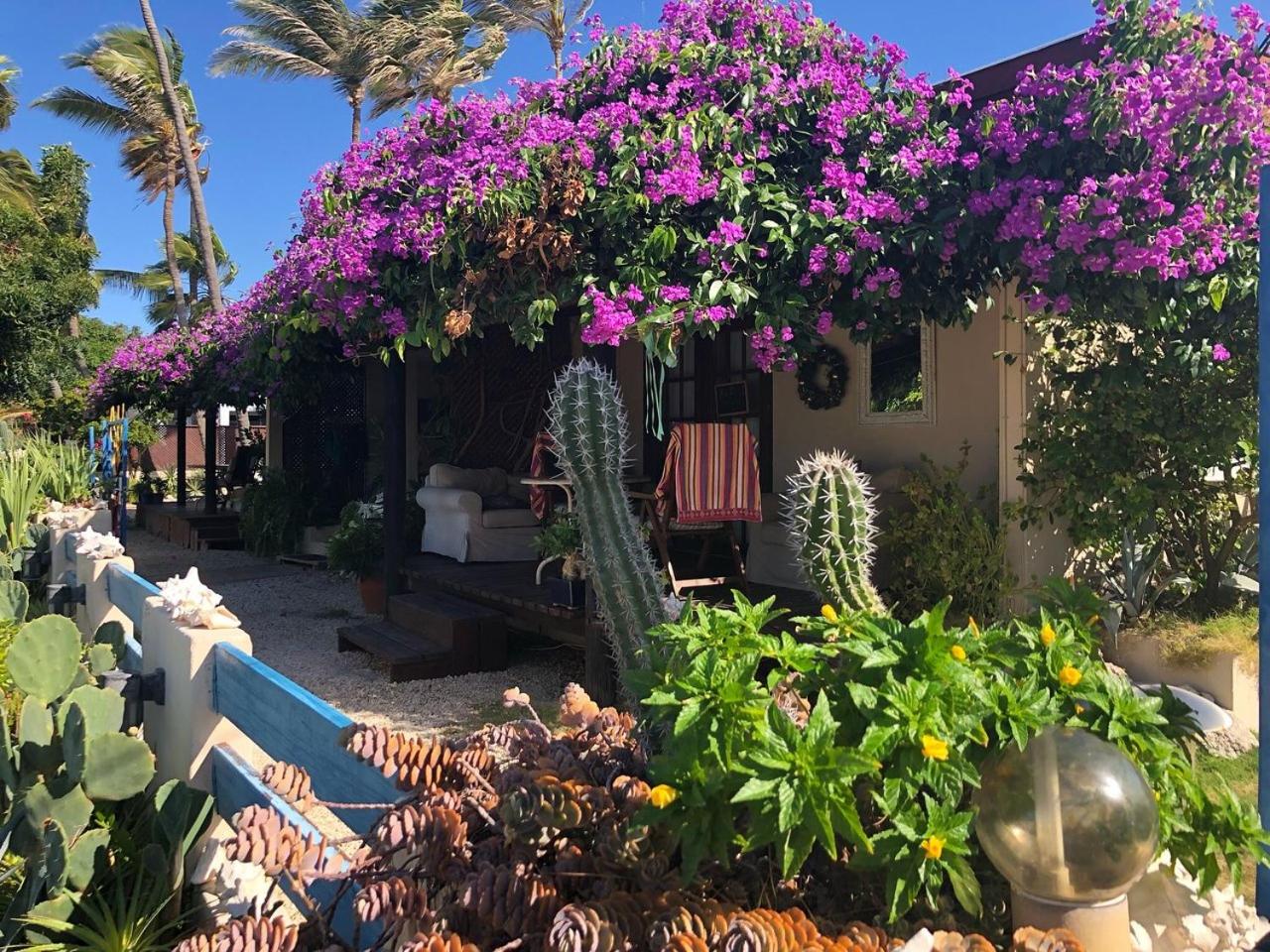 Aruba Sunset Beach Studios