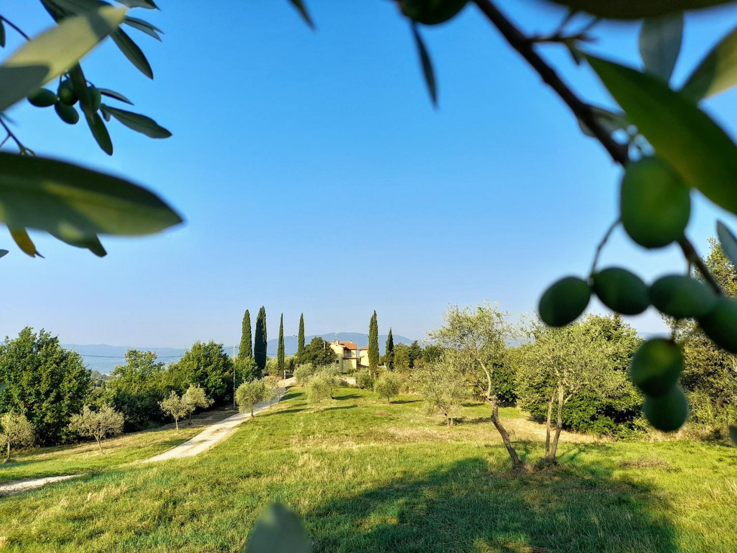 Casa Giulia