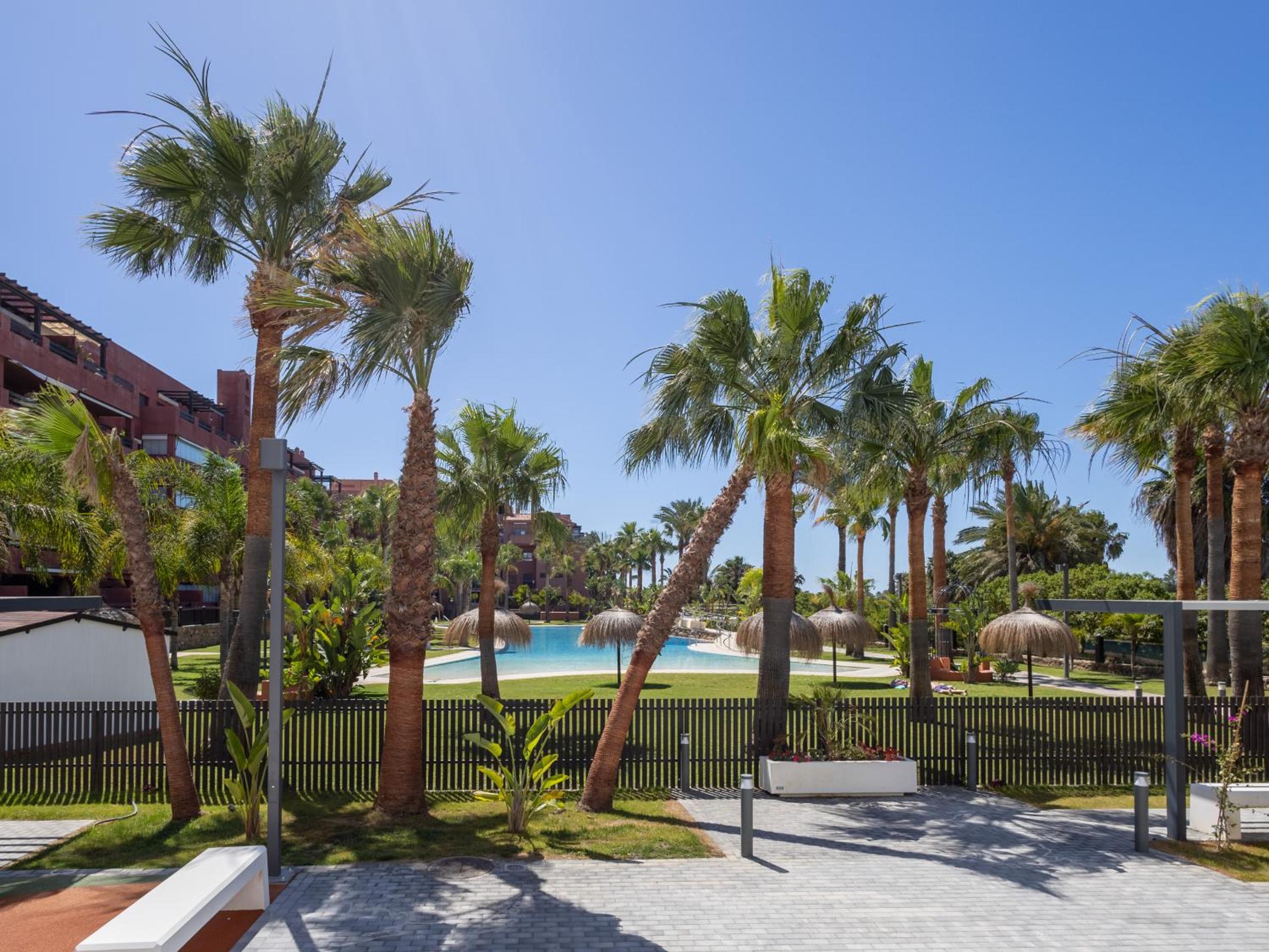 Photo 81