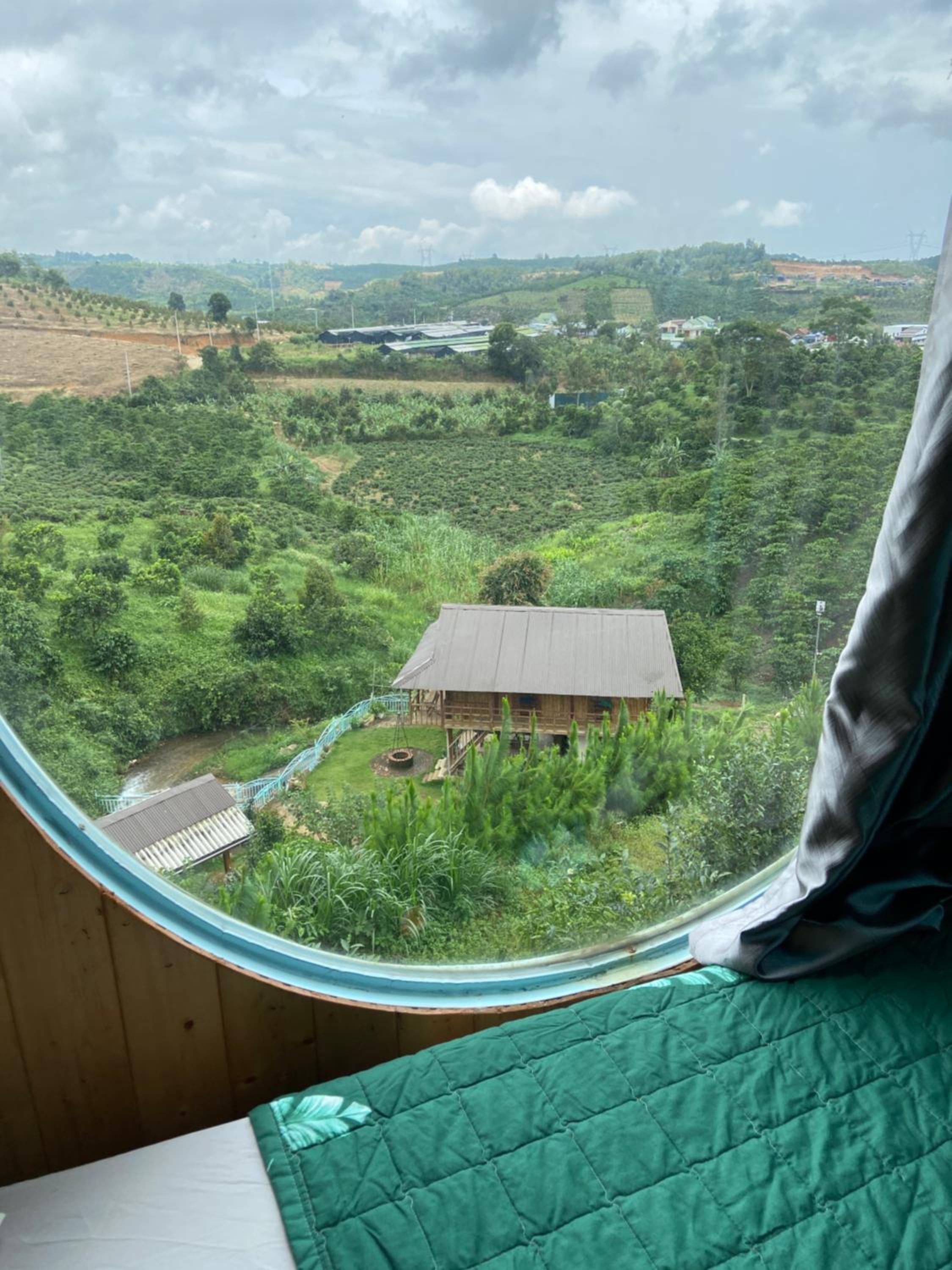 Gạo hạt dẻ homestay
