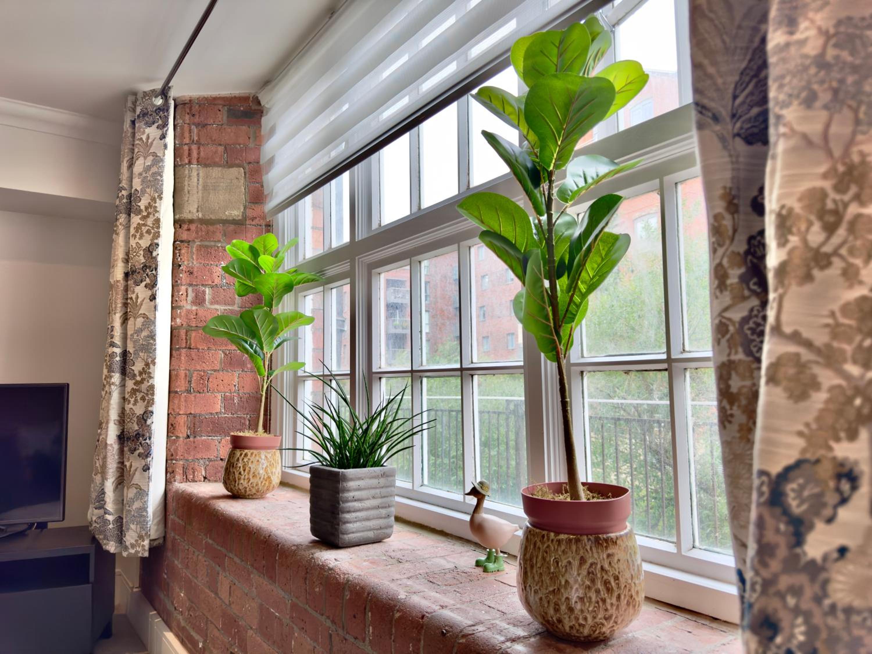 61 Cocoa Suite view 4