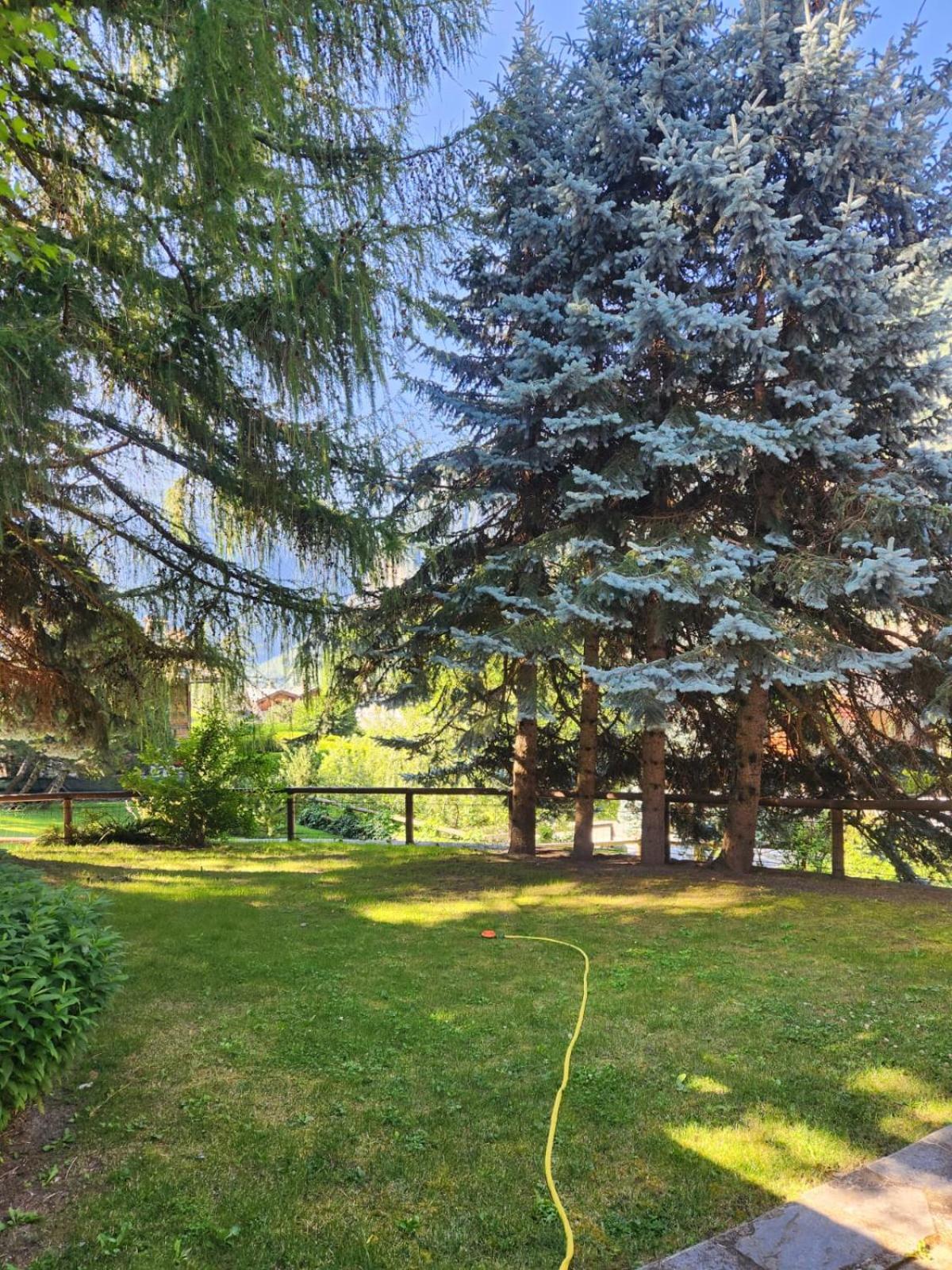 Photo 40