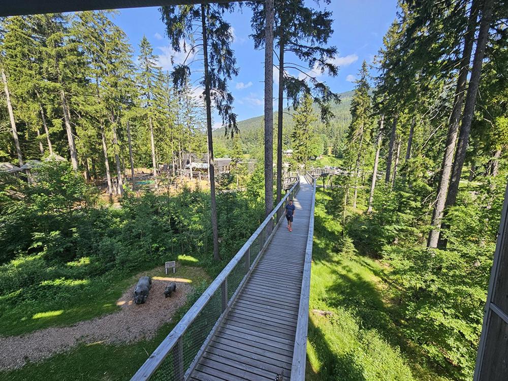 Superior apartment s terasou 2 - Ski&Bike, Janské Lázně