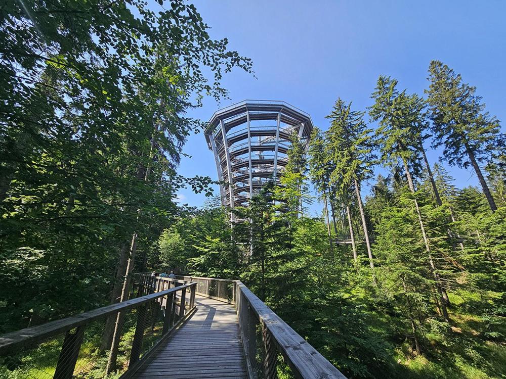 Superior apartment s terasou 2 - Ski&Bike, Janské Lázně