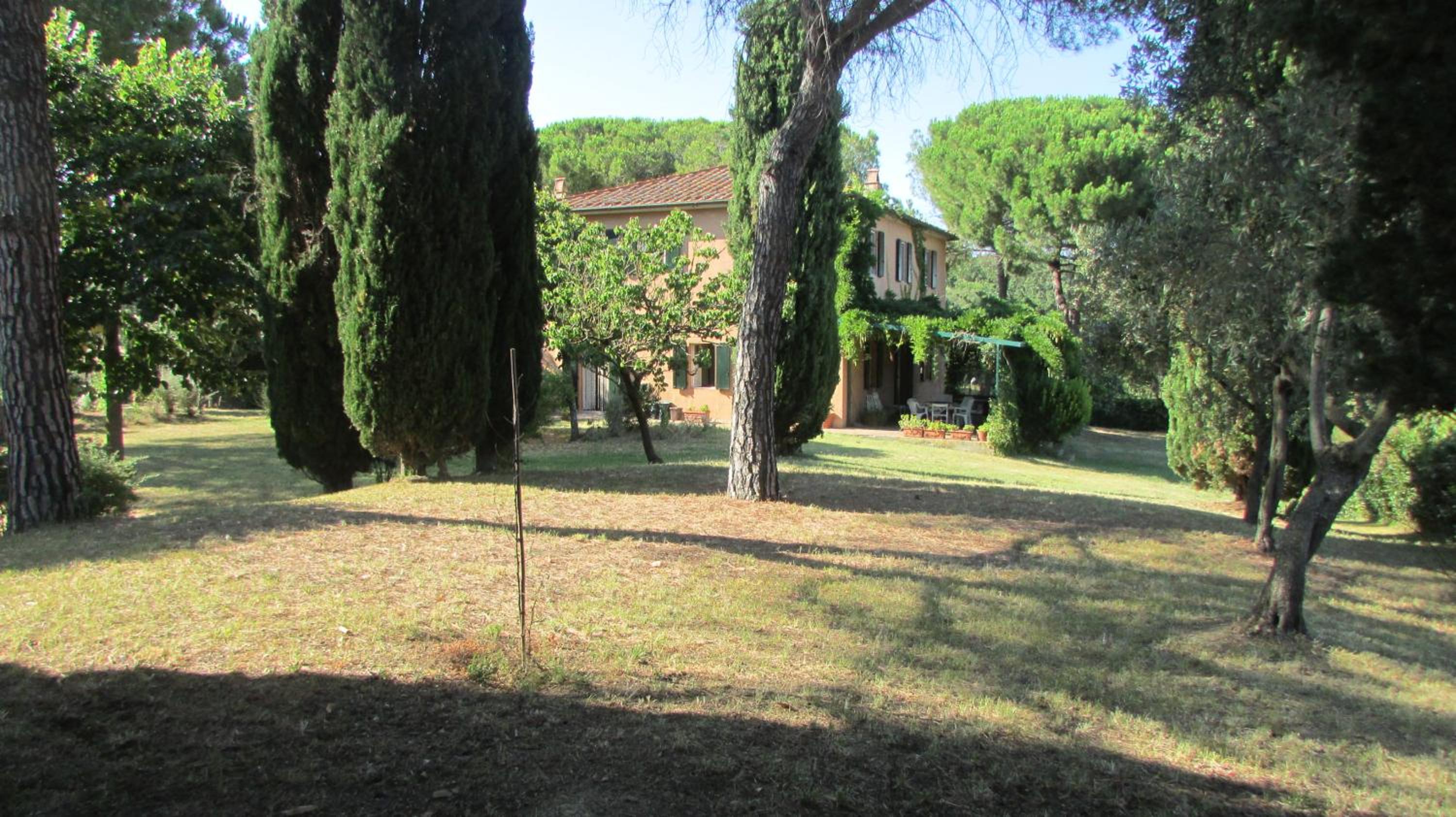 Photo 25