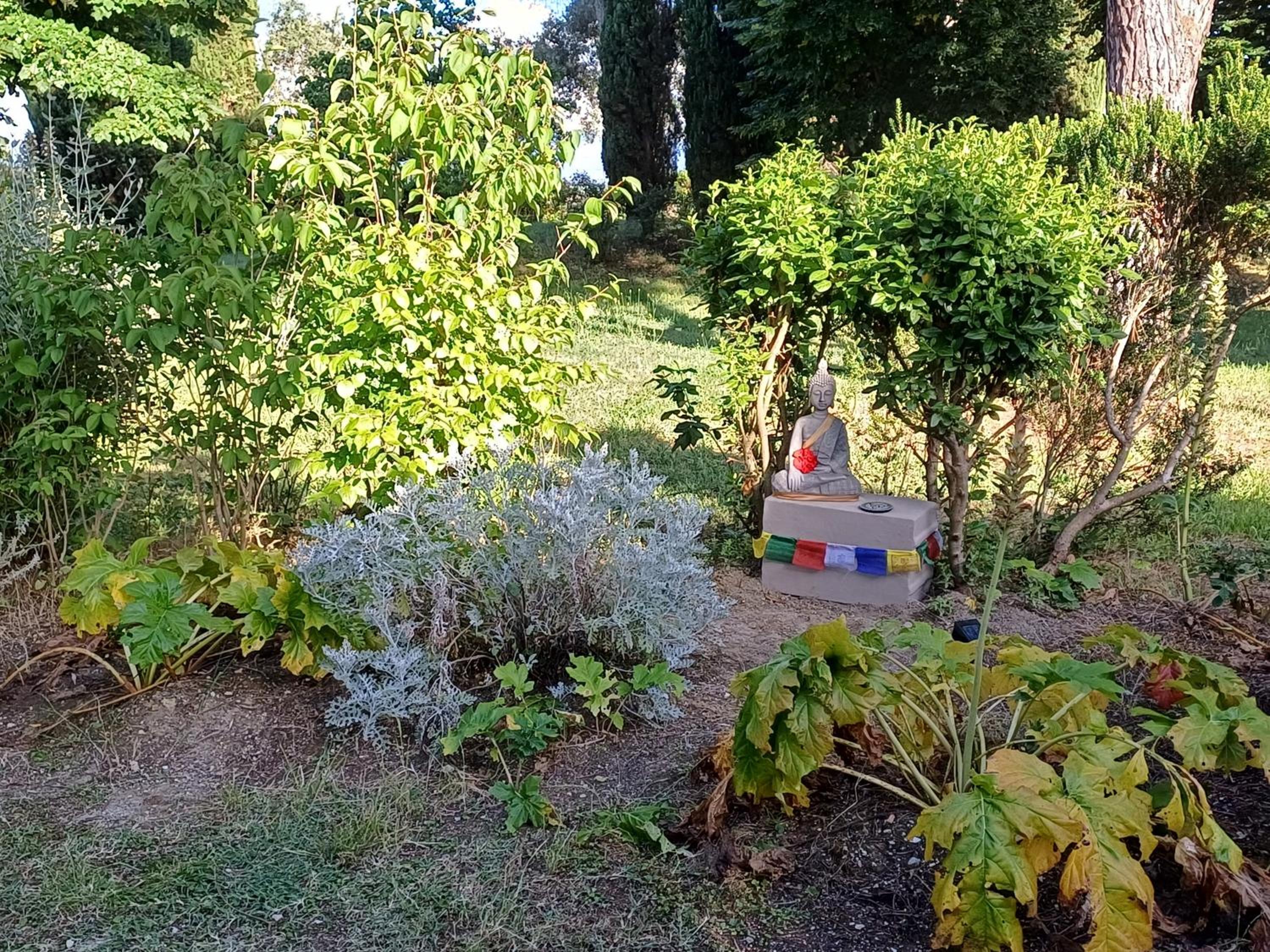 Photo 28