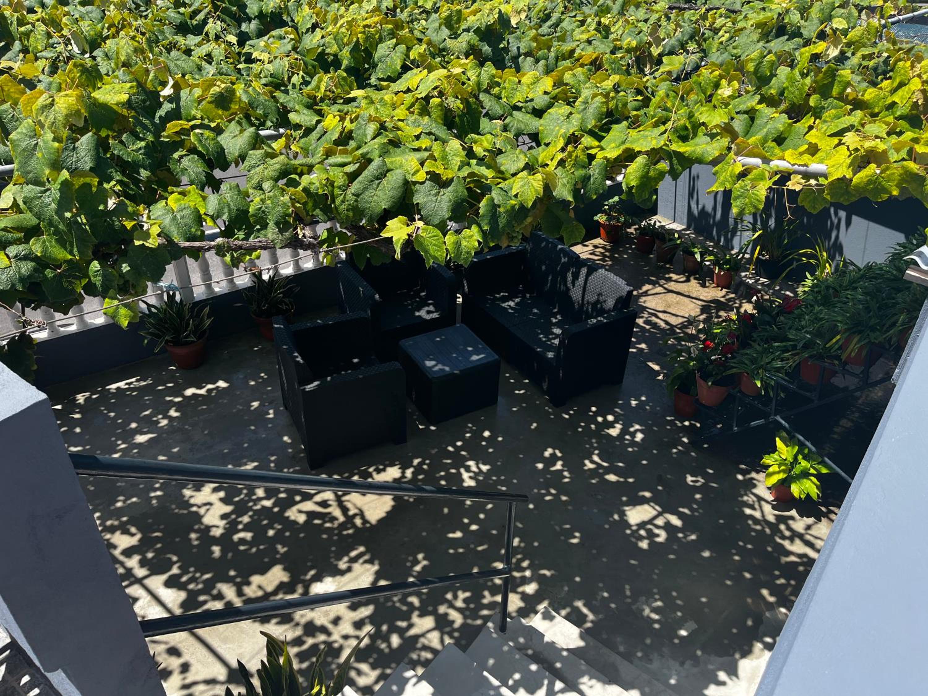 roof