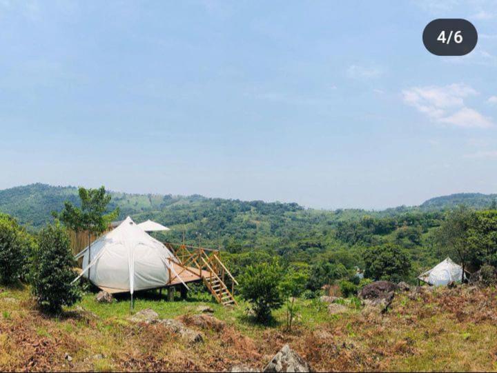 Ixora travel