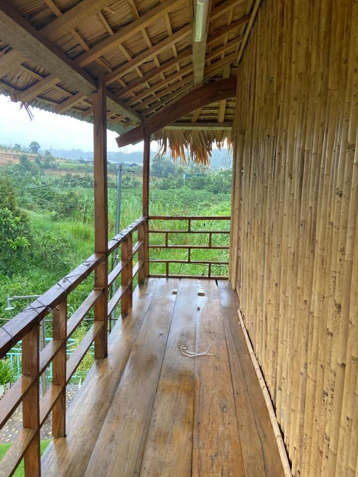 Gạo hạt dẻ homestay