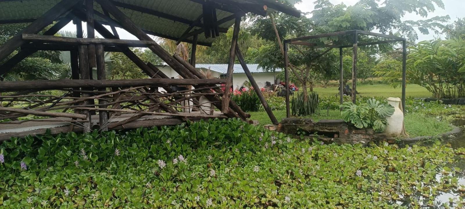 Hotel oBeja negra Muki