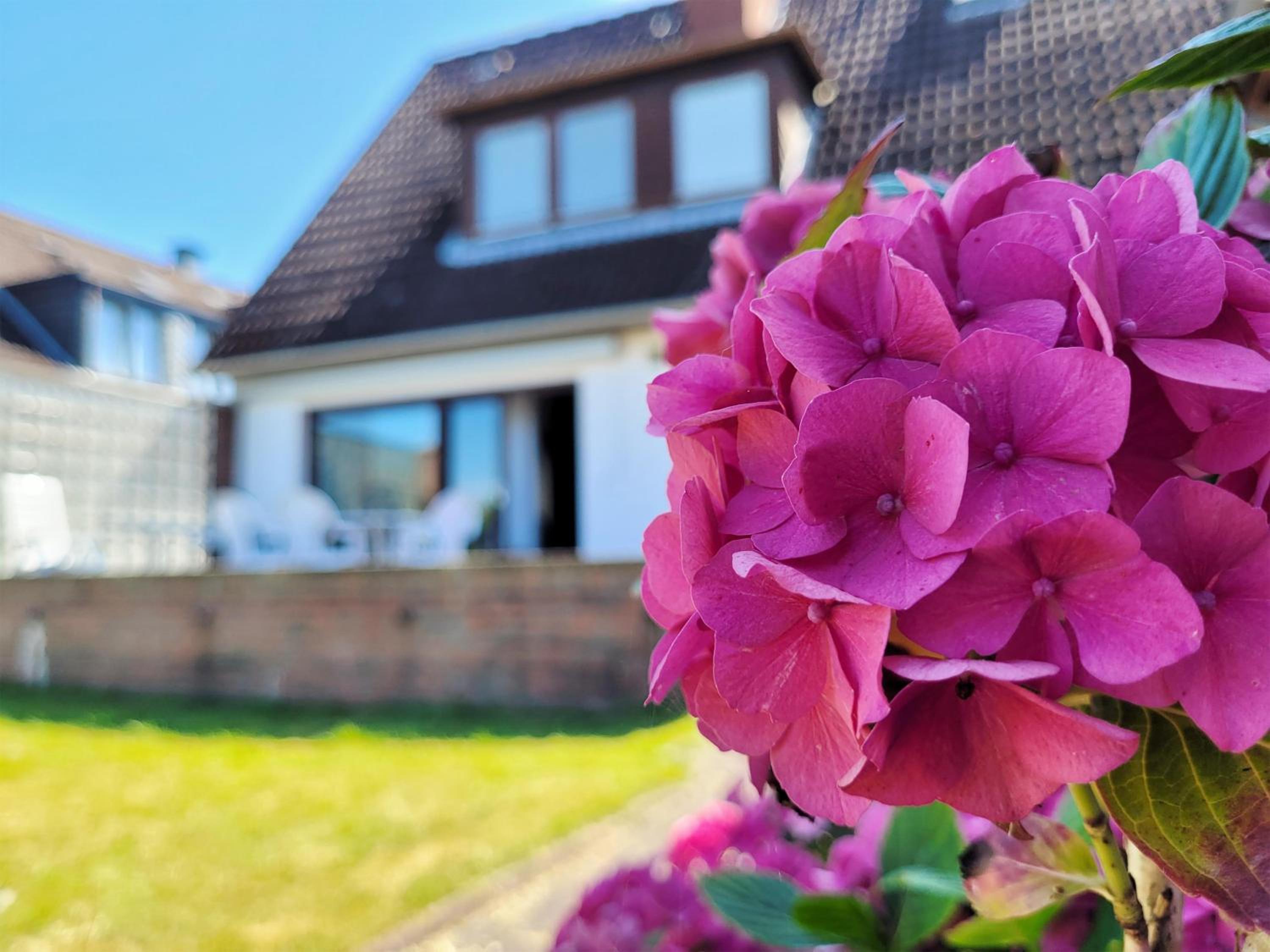 Ferienhaus mit Garten und idyllischer Ruhe