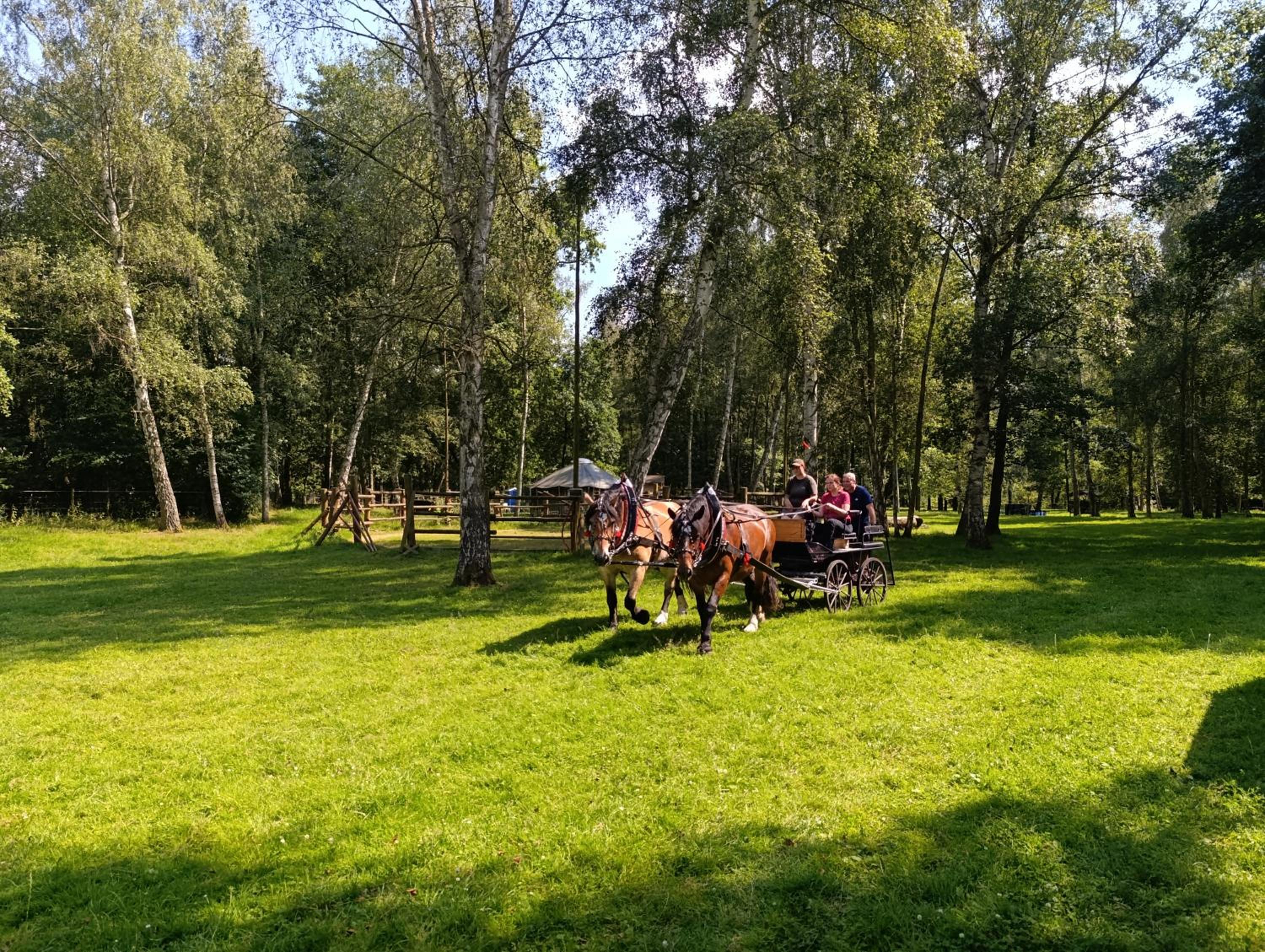 Jurta na farmě