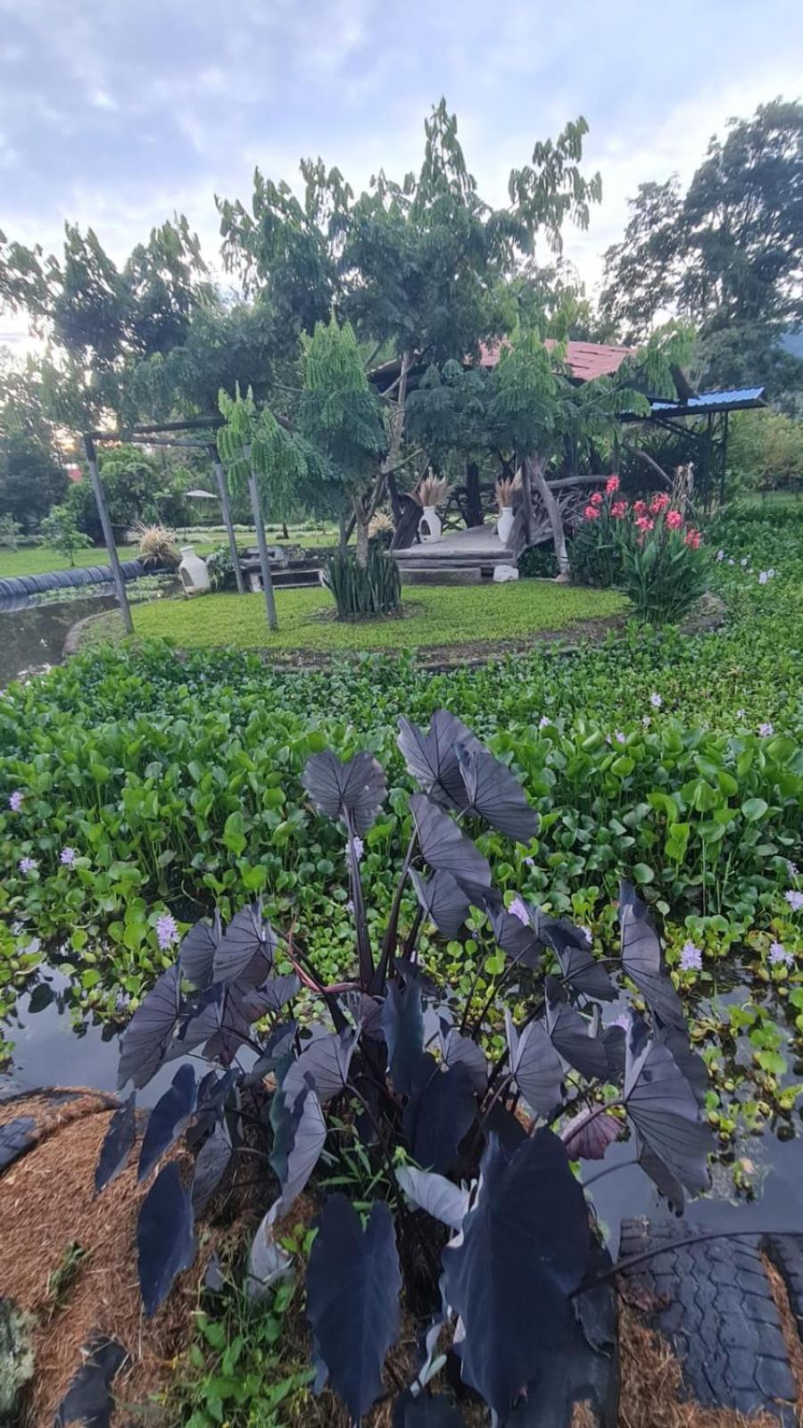 Hotel oBeja negra Muki