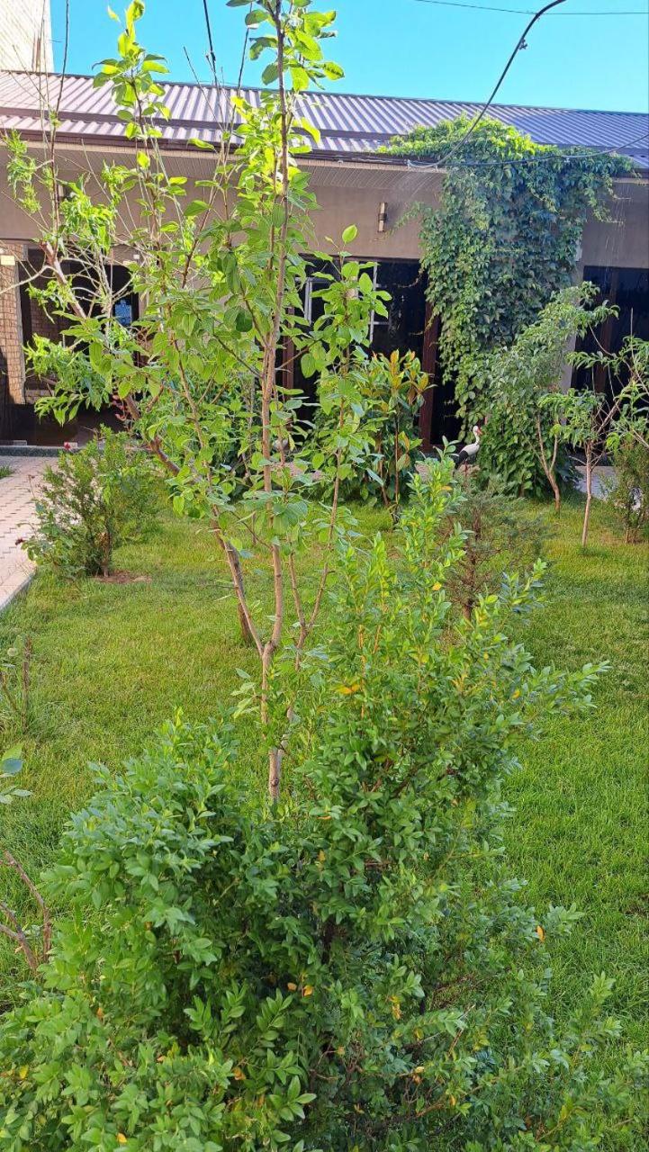 Guest House REAL TASHKENT view 3