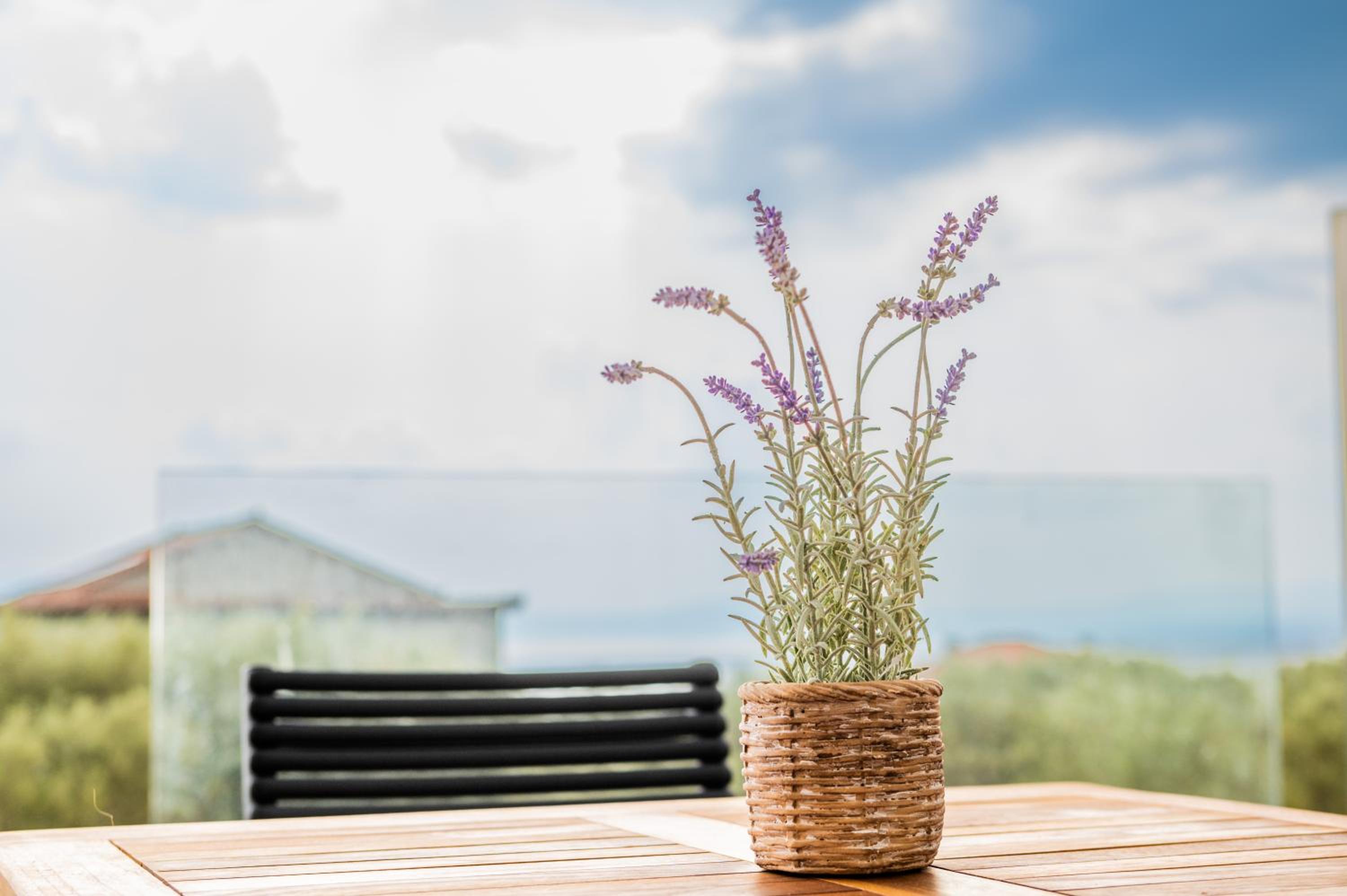 Petradi Suites