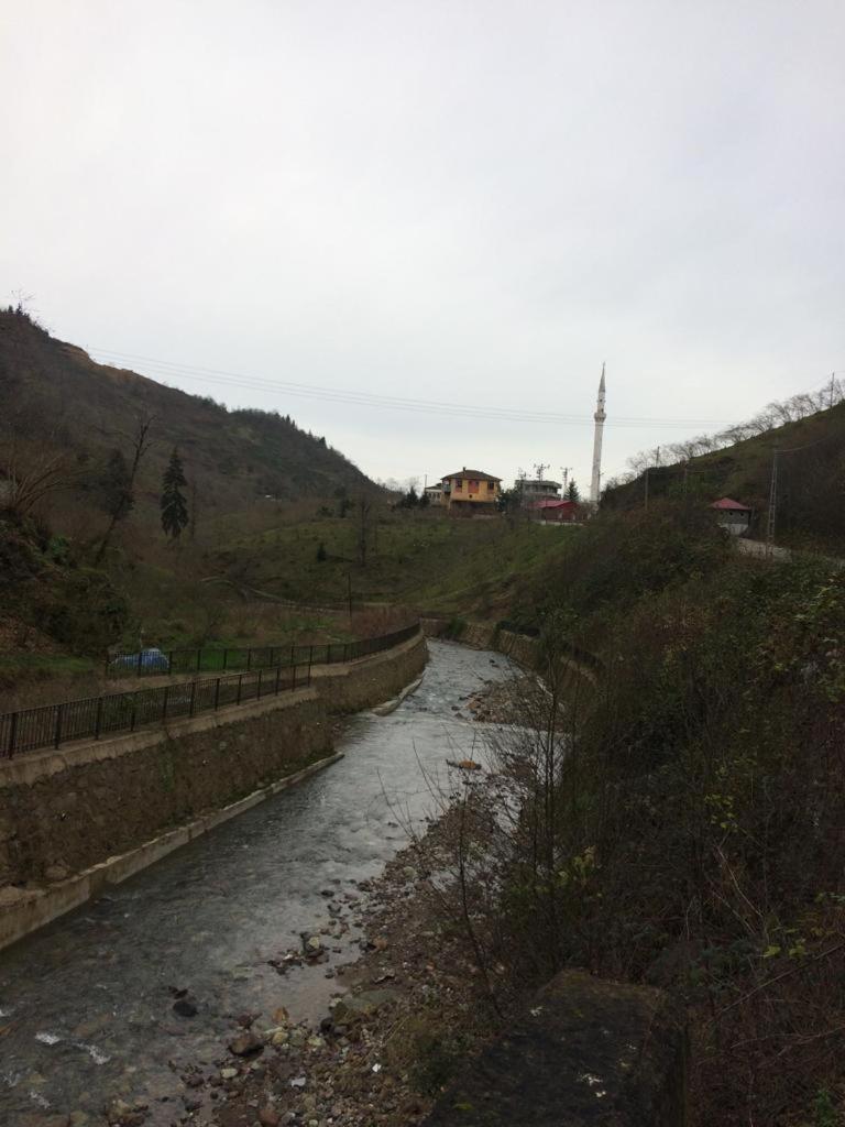 Photo 32