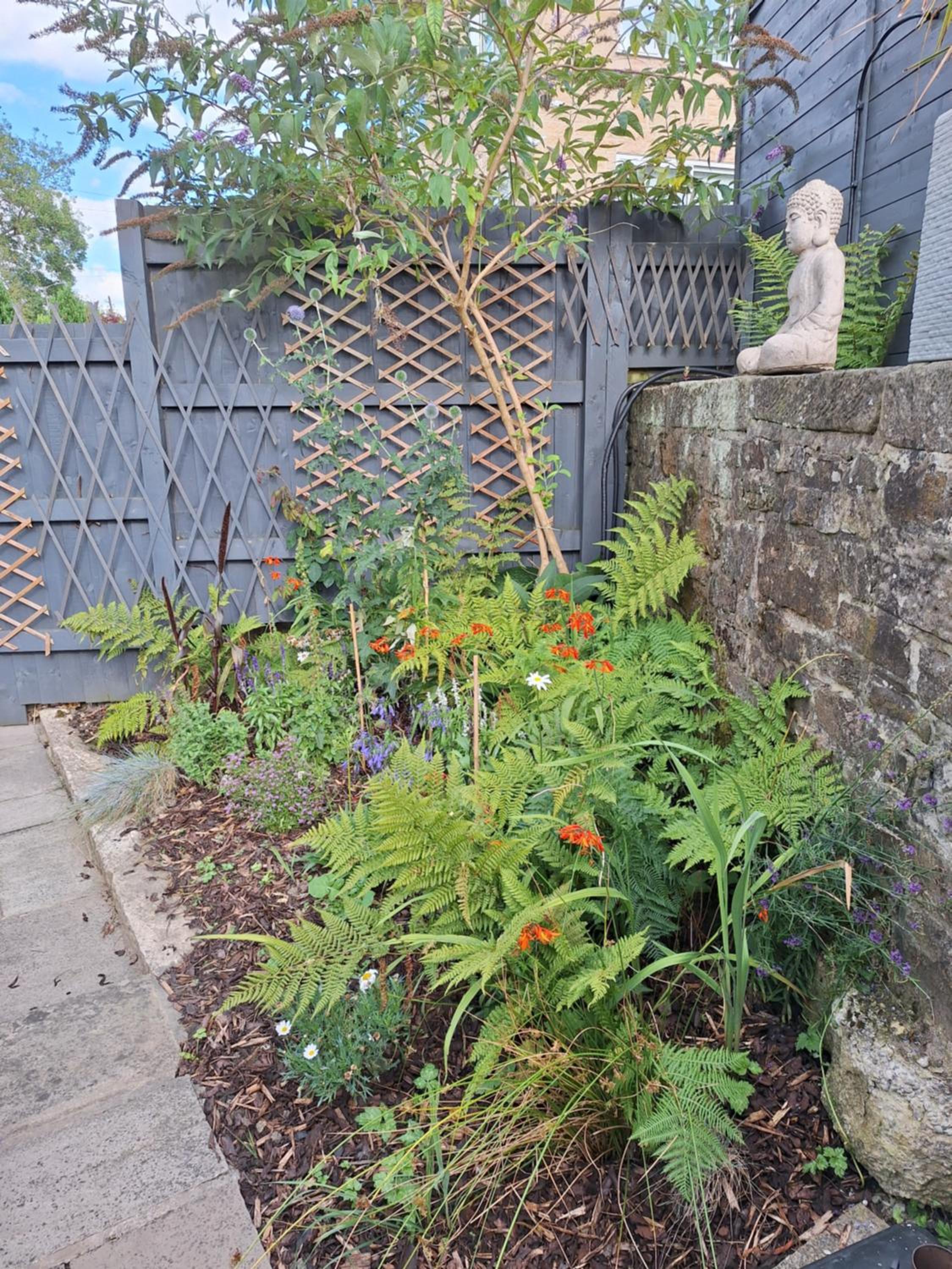 Photo 22