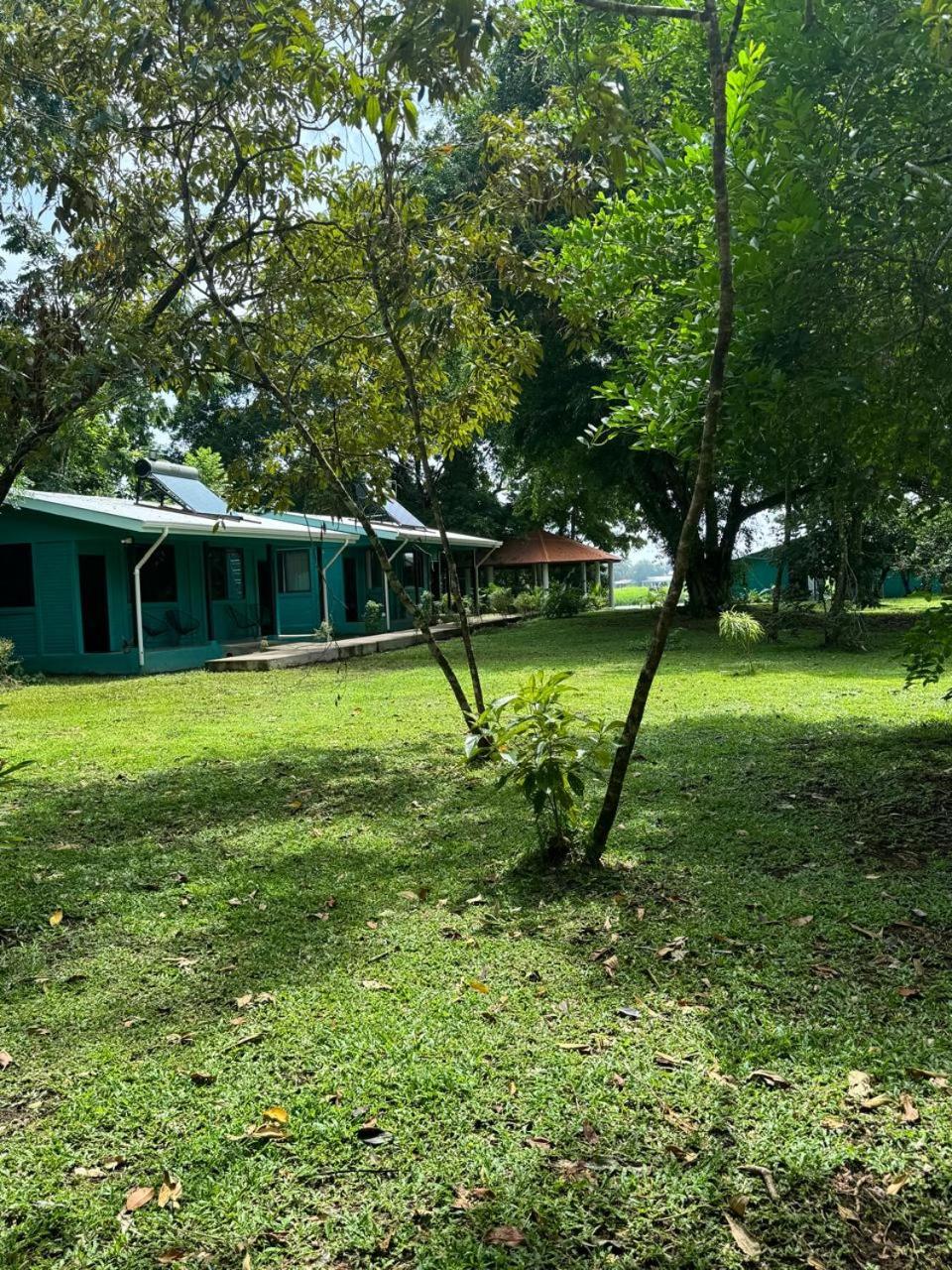 The Secret Eco Lodge