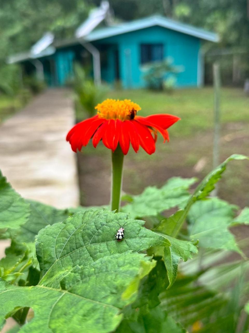 The Secret Eco Lodge