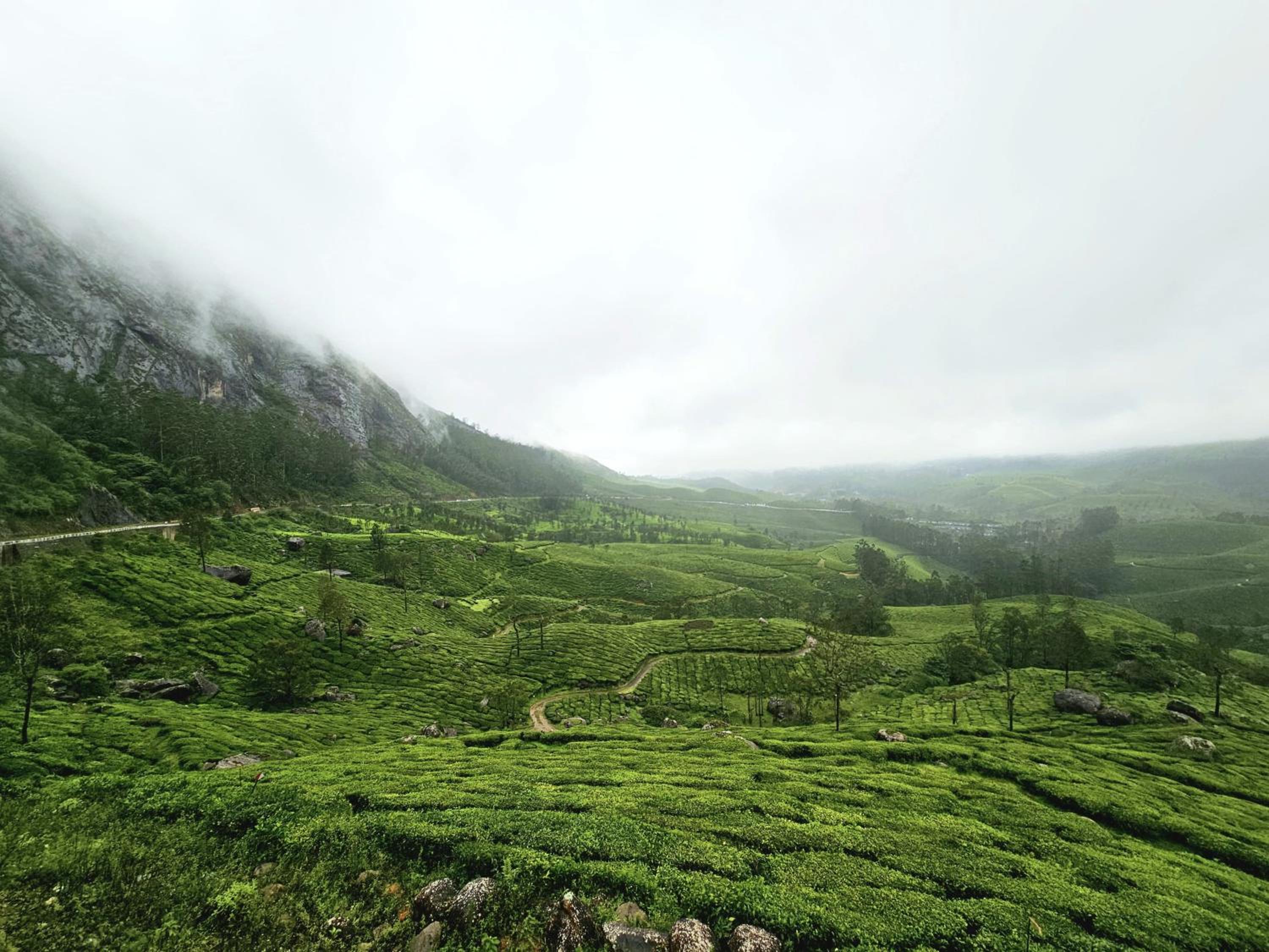 Munnar Bethel Varkis Heritage Resort