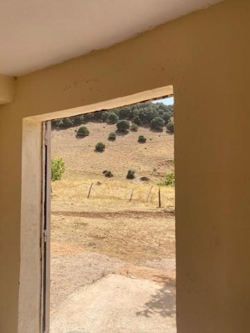 Gite Cèdre Gouraud view 2