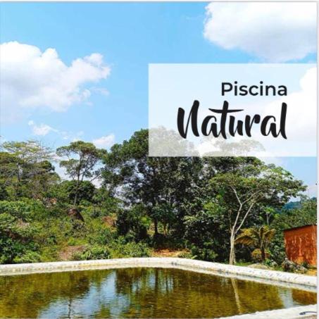 Ixora travel