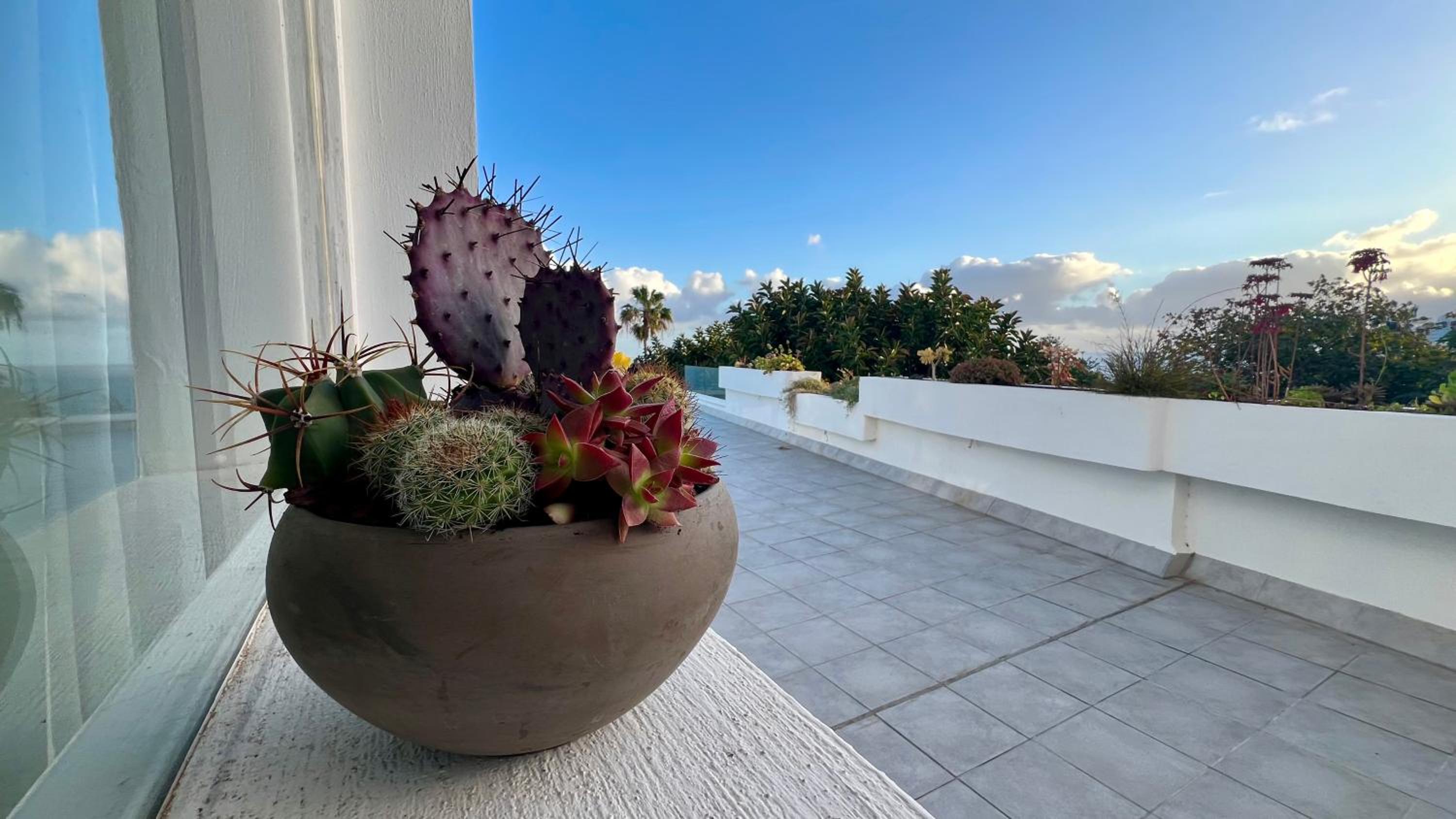 Zen Ocean View House Tenerife