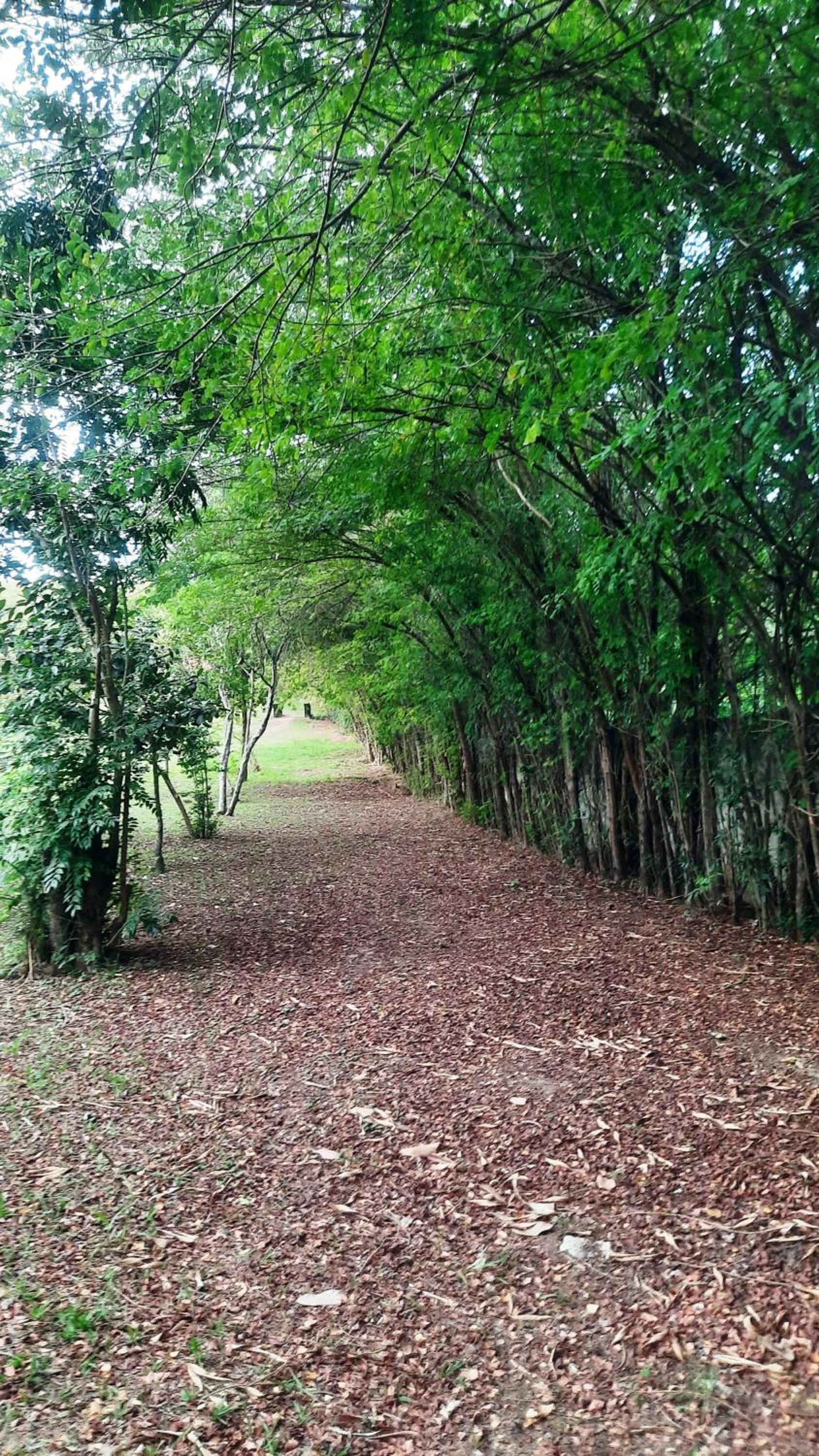 Venda ou Locação Chalé Térreo Camping Carrion ITÚ!!