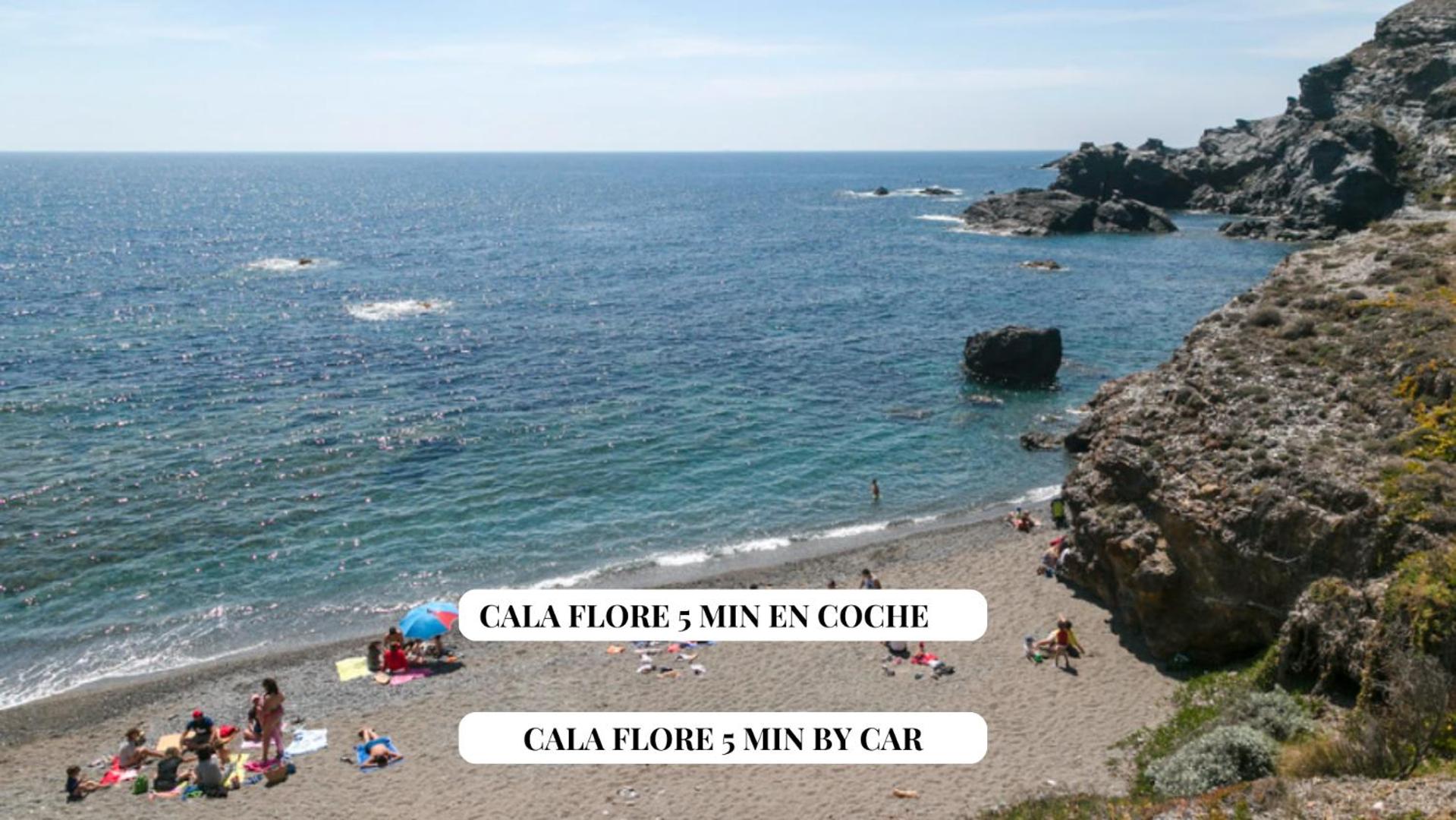 Apartalux Playa Paraíso view 5